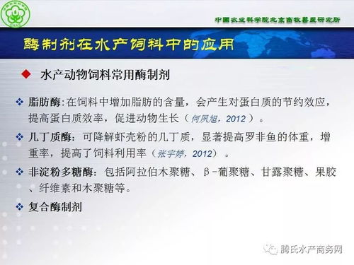 酶制劑在水產動物營養與保健中的潛質 張鐵鷹研究員觀點與項目策劃探索